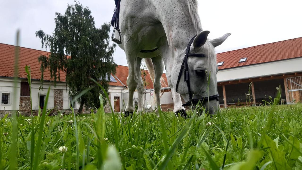 Aparthotel Korn-Hof Kornatice Zewnętrze zdjęcie
