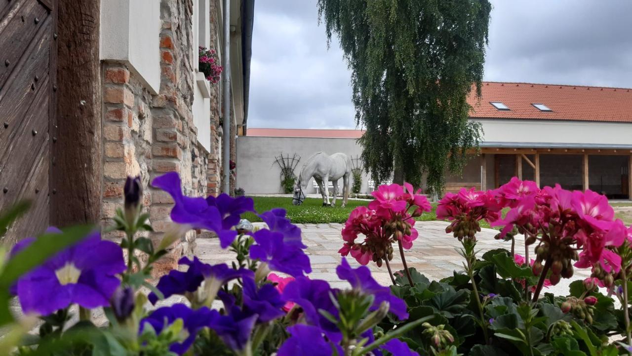 Aparthotel Korn-Hof Kornatice Zewnętrze zdjęcie